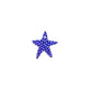 Blueberry Star Charm