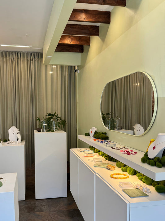Showroom Visit