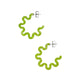 Lime Jelly Hoops
