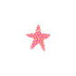 Grapefruit Star Charm