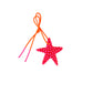 Raspberry Star Charm