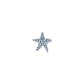 Salt Star Charm